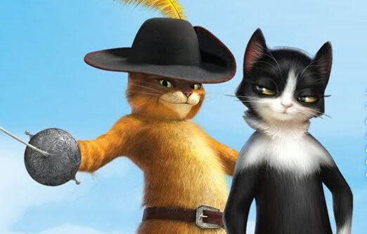 FOTO: Kocour v botach