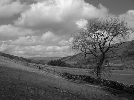 FOTO: Yorkshire