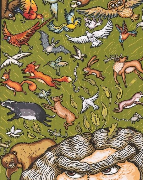 FOTO: František a pohádka z lesa