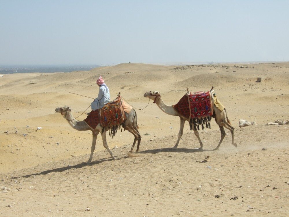 FOTO: Ilustrační foto