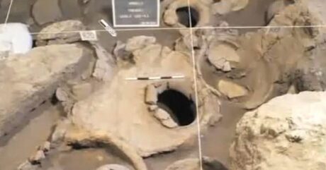 FOTO: Vykopávky nejstarší vinice