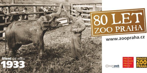 FOTO: 80 let Zoo Praha, slon Baby