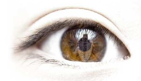 OBR: Z pohledu trilobita