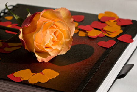 FOTO: Ilustrační foto