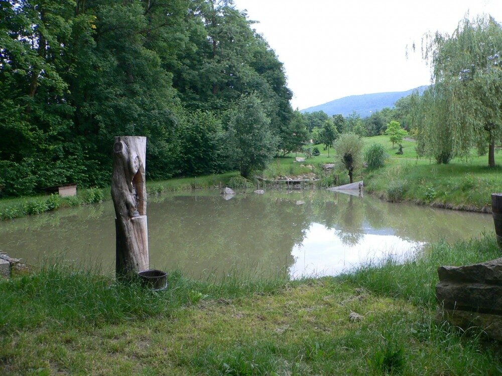 Osíčko, rybník. Foto: Jana Roszková