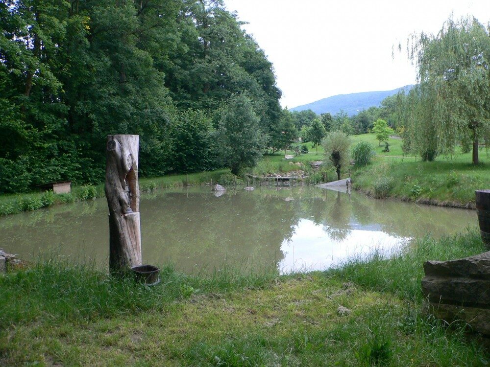 FOTO: Osíčko s malebným rybníkem