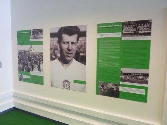 Výstava Fotbal jménem Masopust