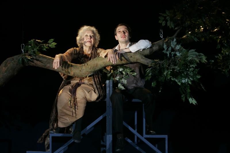 FOTO:colin higgins harold a maude