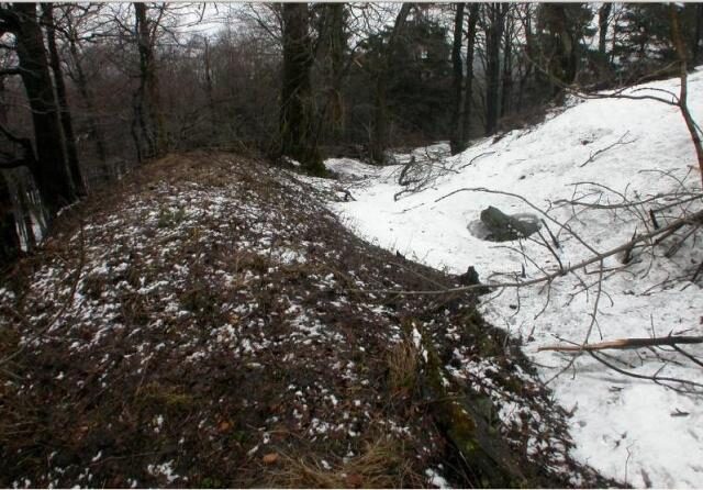 FOTO: Zřícenina hradu Starý Herštejn, Vranov