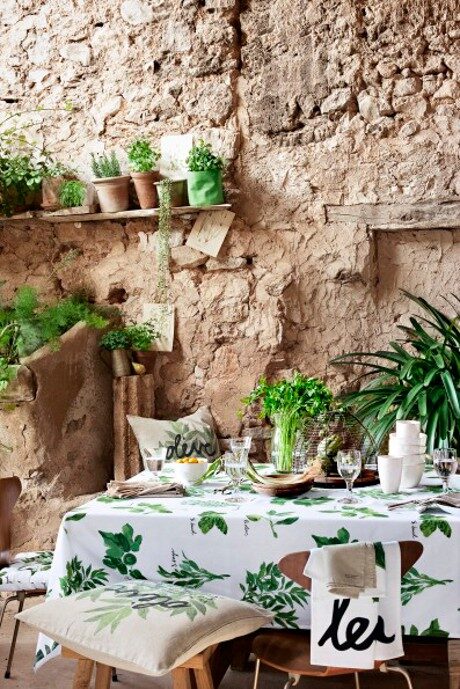 FOTO: Zelené květiny