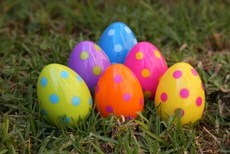 FOTO: Rozmanitost a barevnost vajíček někdy nezná mezí