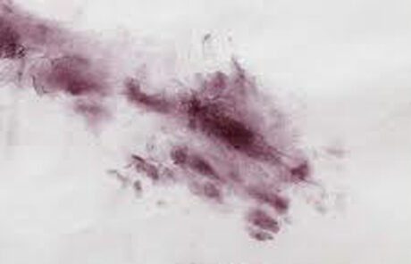 Foto: Z cyklu Ruce (V), detail,2010, pigment, čínský papír