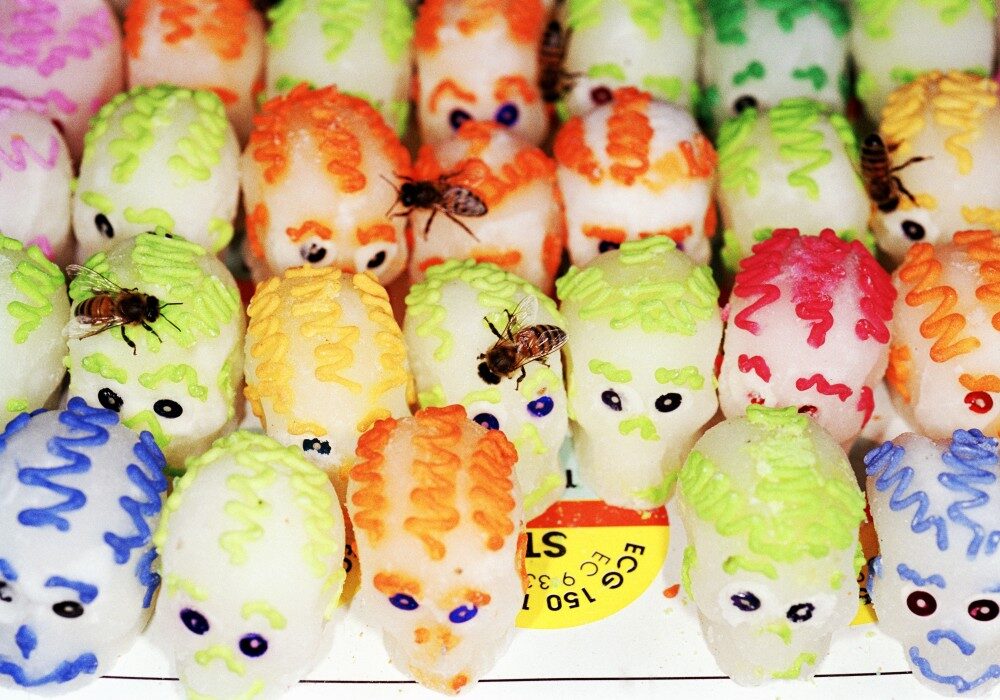 Obr: Martin Parr, Mexico, Tijuana 2003