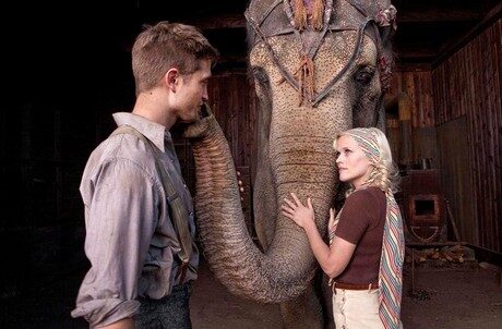FOTO: water for elephants