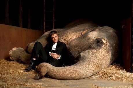 FOTO: Water For Elephants - R. Pattinson