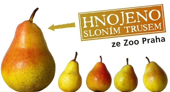 FOTO: Billboard sloní trus