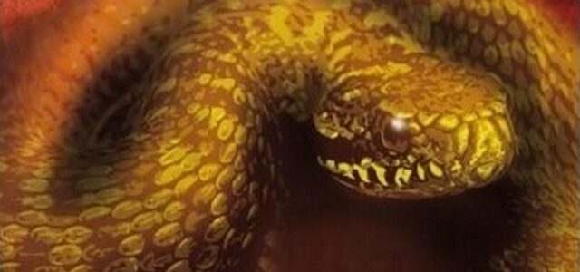 Andrzej Sapkowski: Zmije