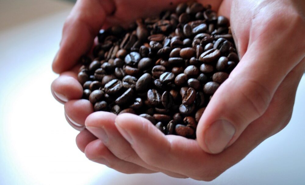 FOTO: Kávová zrna