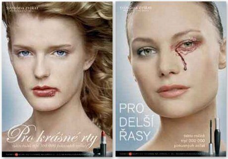 FOTO: Ne testování kosmetiky na zvířatech