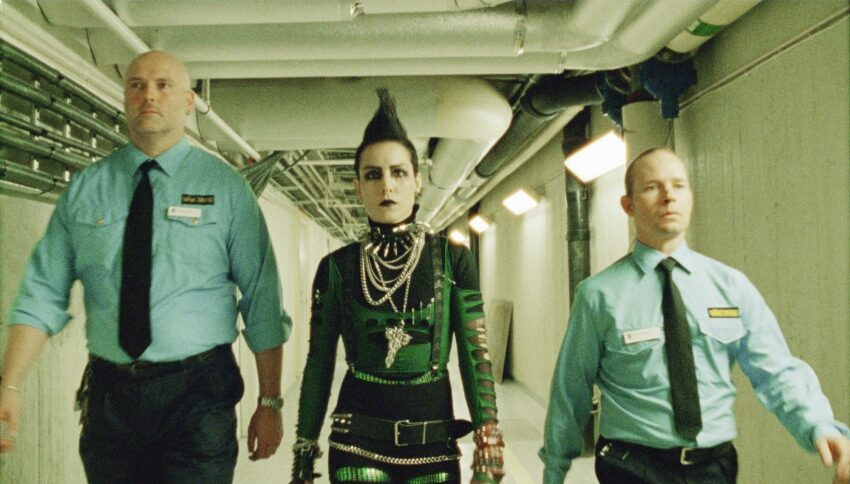 FOTO: Dívka-která-kopla-do-vosího-hnízda