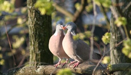 FOTO: Láska ve všech podobách