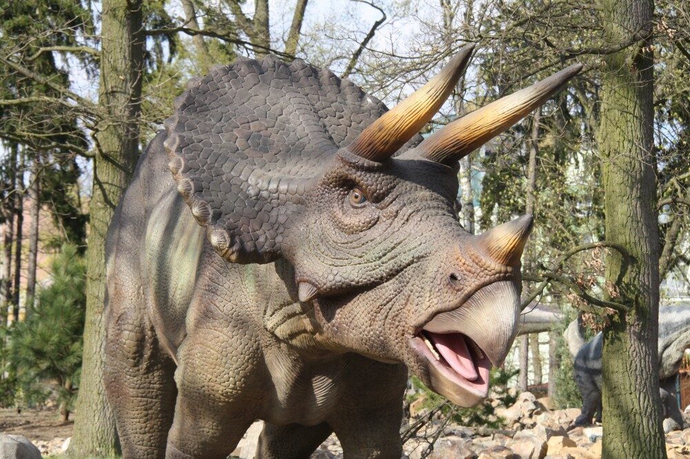 FOTO: Dinopark