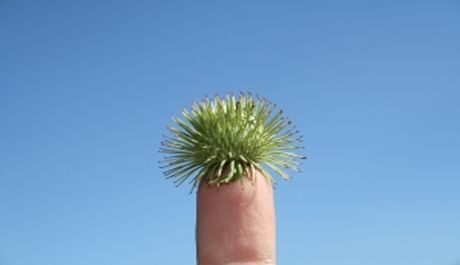 OBR: Jak si ze sebe udělat legraci