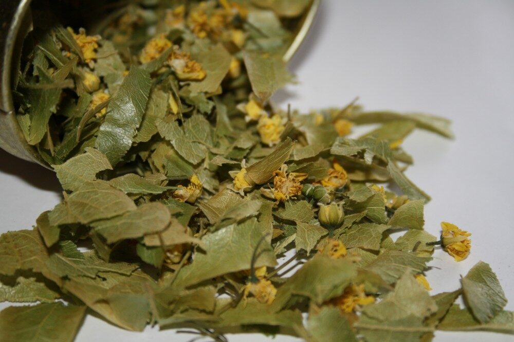 FOTO: Sušený lipový květ