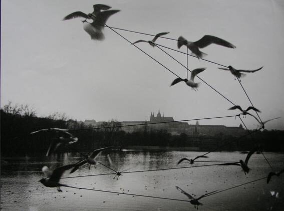 Foto.:Liniemi: D. Chatrný interpretuje fotografii různými prostředky.