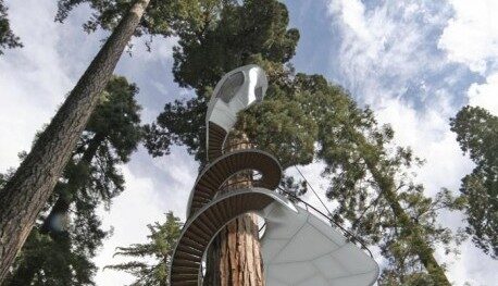 OBR: Návrh na Winding Snake Treehouse od společnosti Baumraum