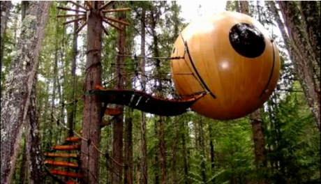 FOTO: Hotelové pokoje Eve/Eryn v deštném pralese na pobřeží Vancouver Islandu