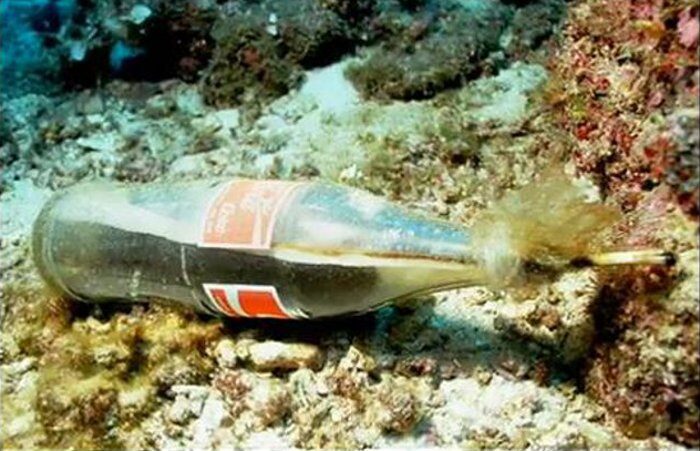 FOTO: Poznáte, co je na obrázku špatně?