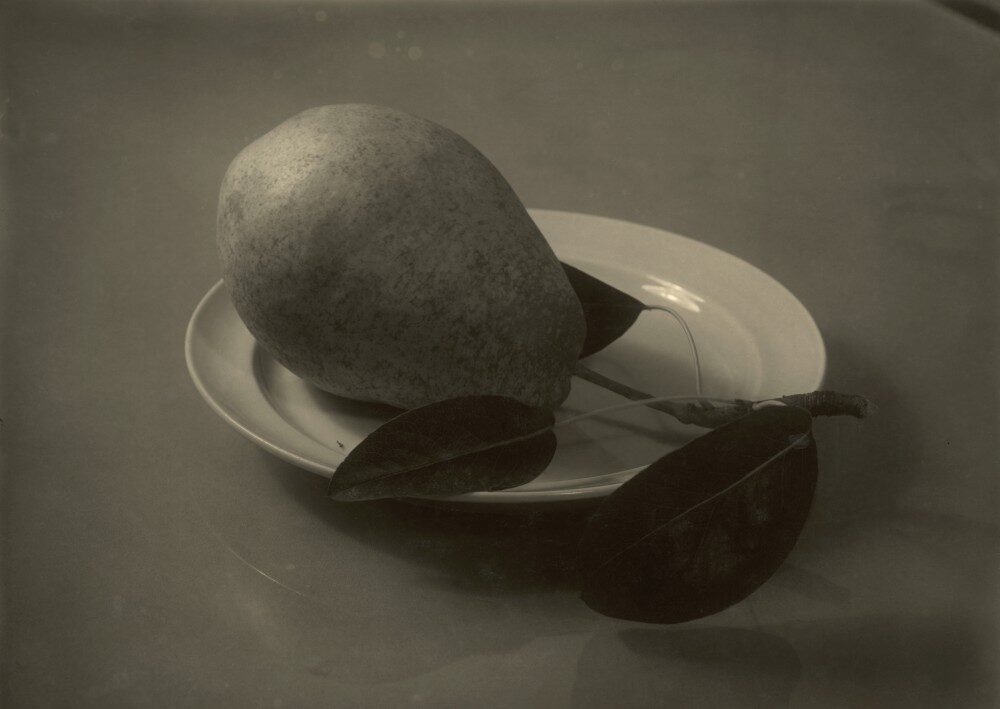 FOTO: Zátiší podle Navrátila (1958)