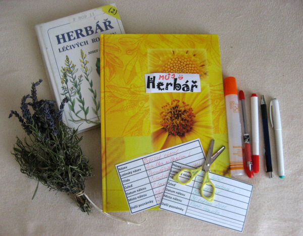 FOTO: Zátiší s herbářem