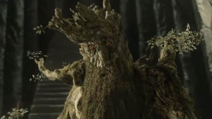 Foto: stromovous-distributor