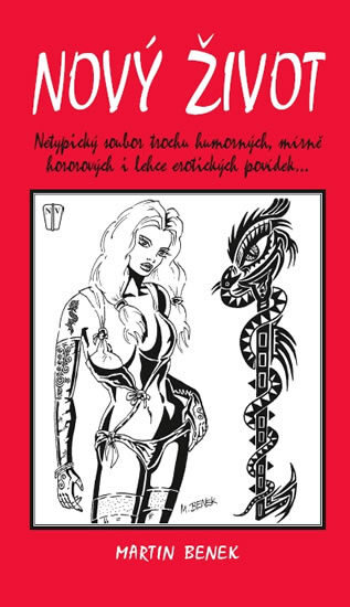 Nový život Martin Benek (obálka knihy)