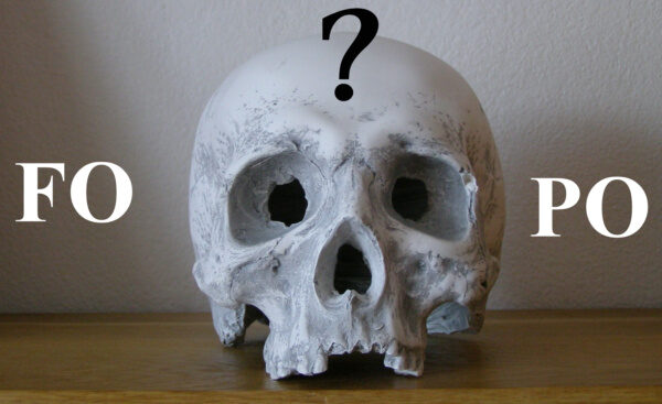 Lebka přemýšlející nad zkratkami FO a PO?