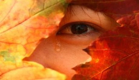 OBR: Podzimní pláč