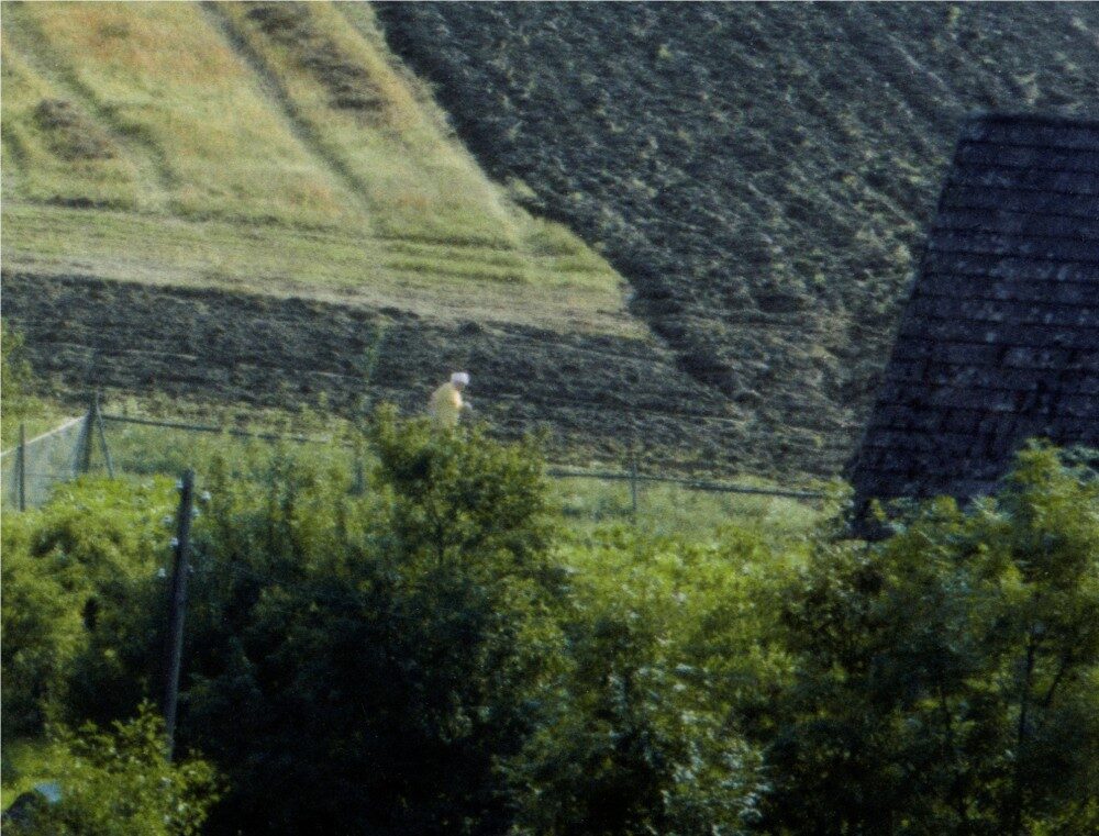 FOTO: Zvětšenina III (2011)