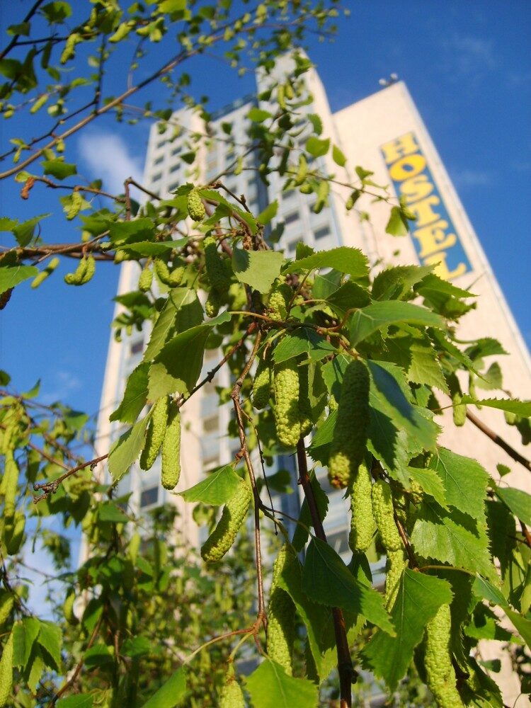 FOTO: Noc v hostelu vás přijde průměrně na 450 korun