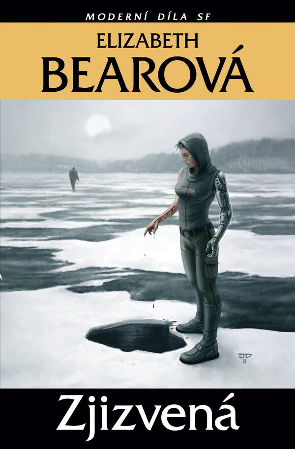 Elizabeth Bearová: Zjizvená (obálka)