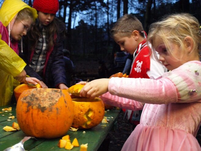 FOTO: Děti a dýně