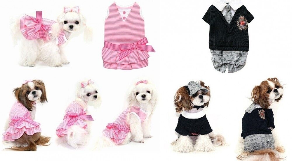 OBR.: Psí oblečení