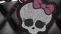 Lisi Harrisonová Monster High (výřez z obálky knihy)