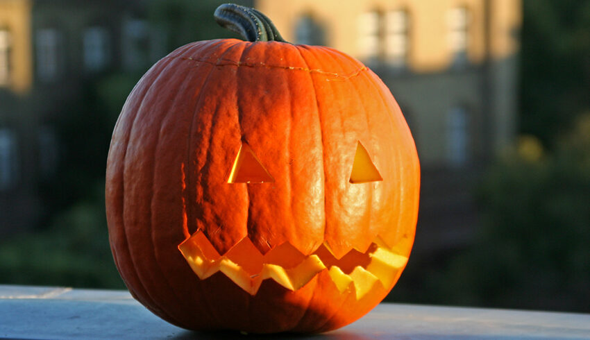 FOTO: Halloweenska dyne