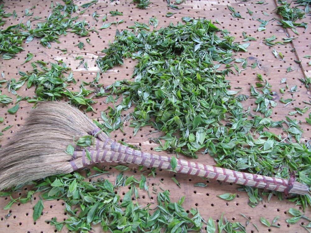 FOTO: Čajové lístky na zemi