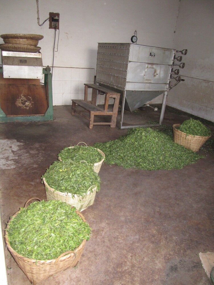 FOTO: Čaj v proutěných koších