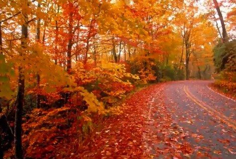 FOTO: Listopad nabízí i hezké dny
