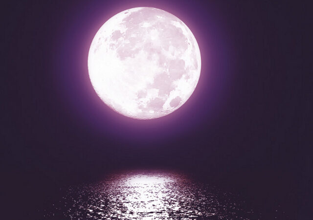 OBR: V měsíčním svitu Deana Koontze