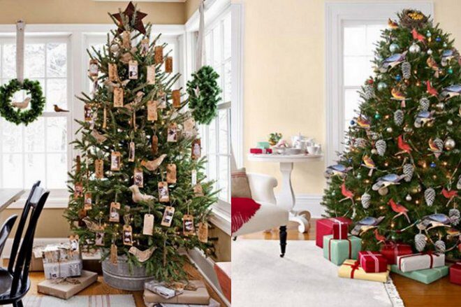 FOTO: Netradiční vánoční stromky